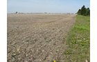 Property photo 20 - 172 Acres Offered in 3 Tracts - Prime Farmland